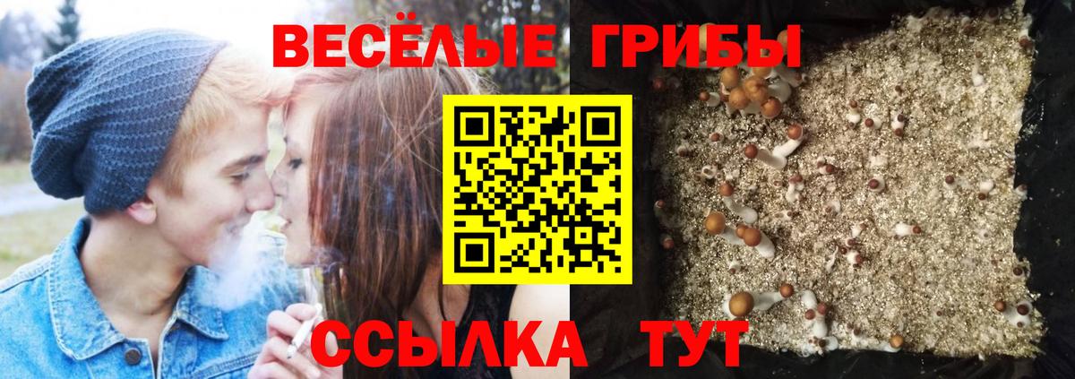 Псилоцибиновые грибы прущие грибы  Псилоцибиновые грибы прущие грибы  Вход с VPN  Анапа 